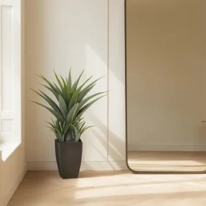 Agave 73 cm 860x860