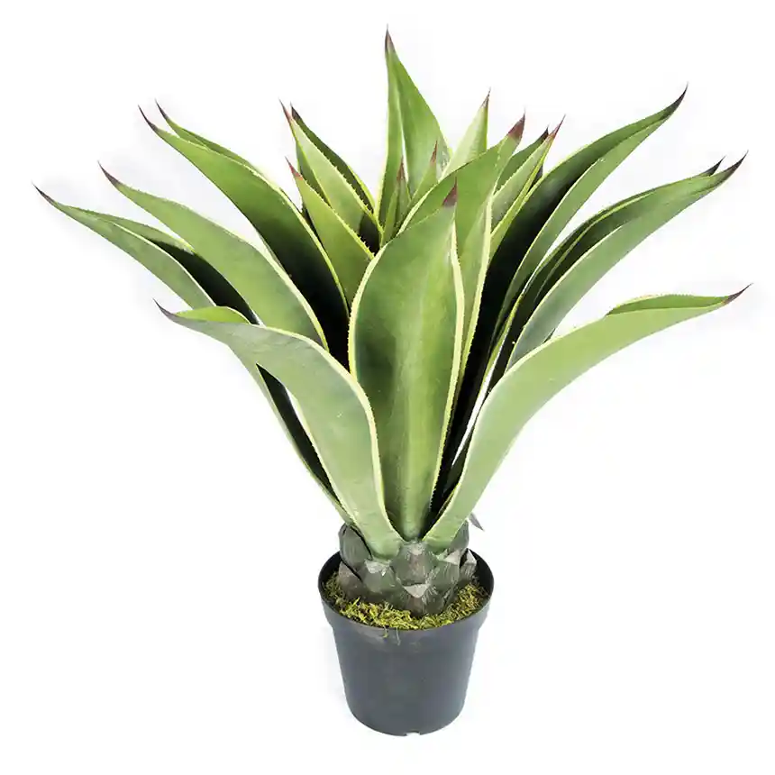Planta Artificial Agave Mini 98 cm 2 Agave Mini 860x860