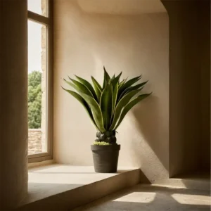 Agave mini 95 cm 860x860