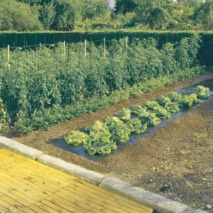 TERRAFILM Multicultivo 1,40 x 5 m