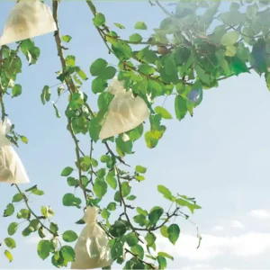 Antiplaga fruitsac