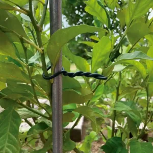 Atadura Biflex