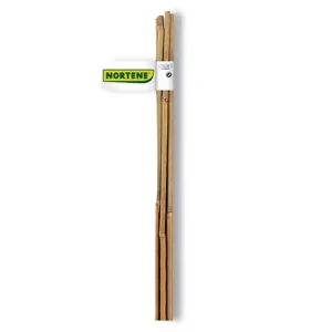 Bamboo Tutor Nortene