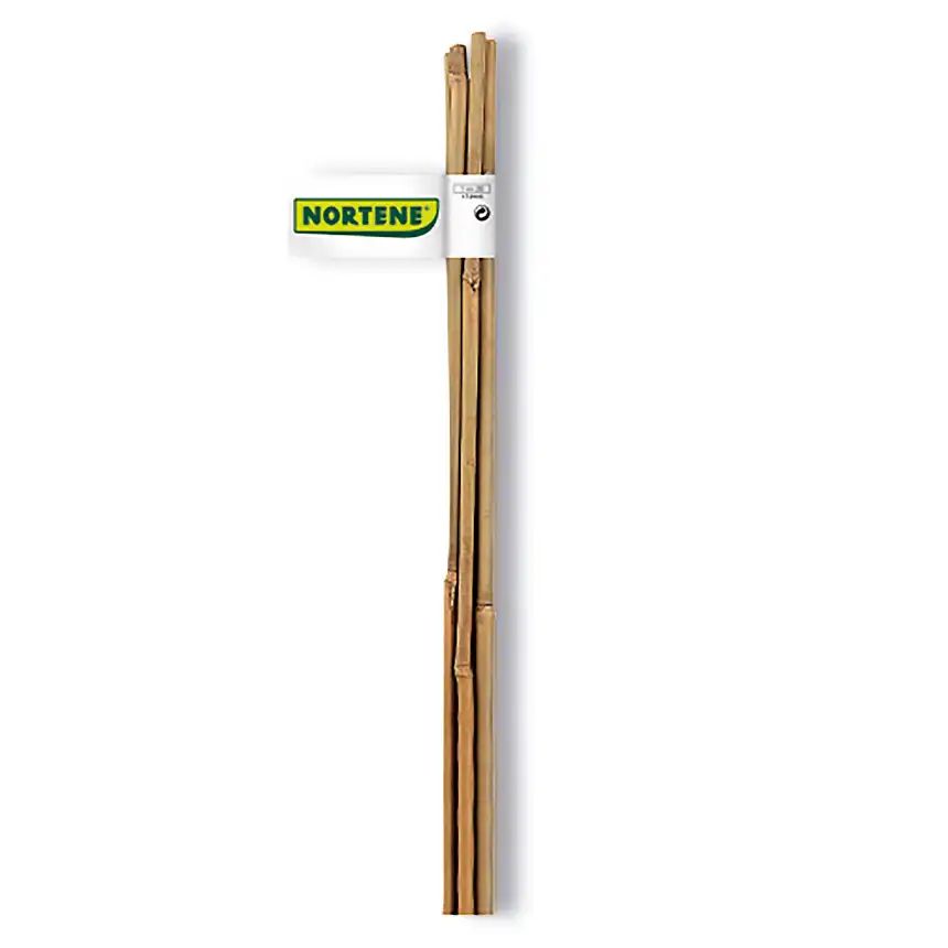 Tutor Bamboo 1 Bamboo Tutor Nortene