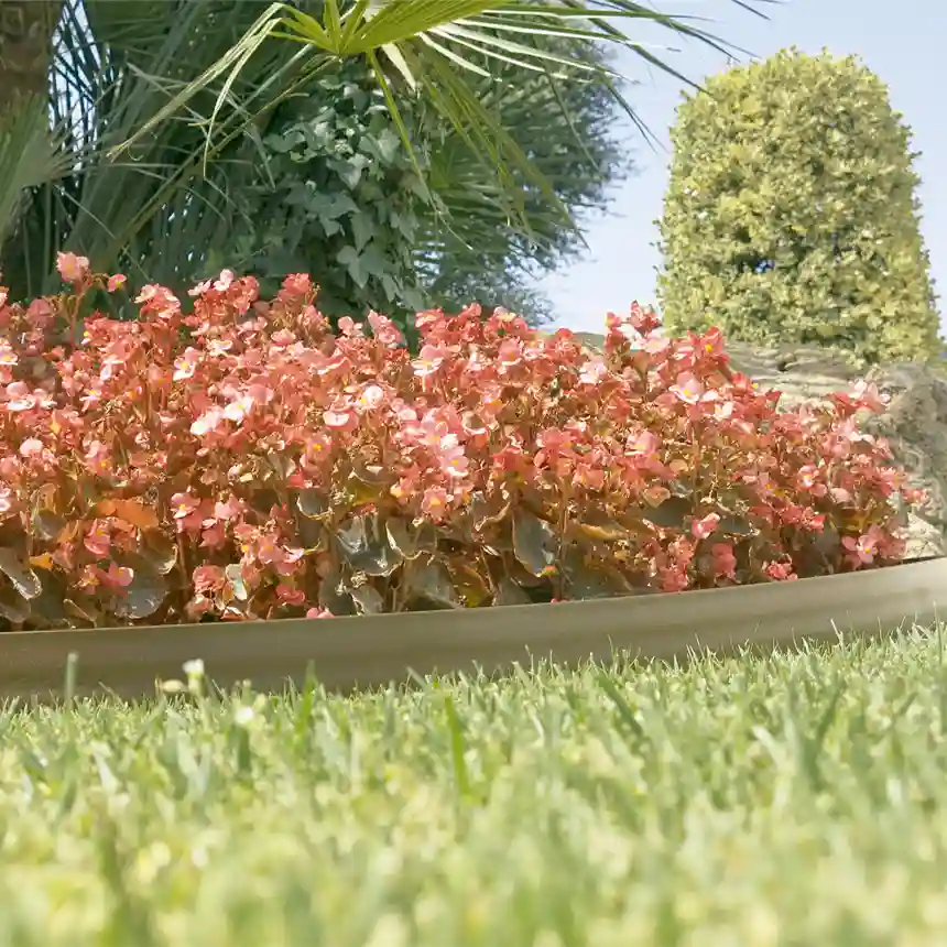BARK BORDER de polietileno 0,09 x 10 m 1 Bark Border Bordo e polietileno