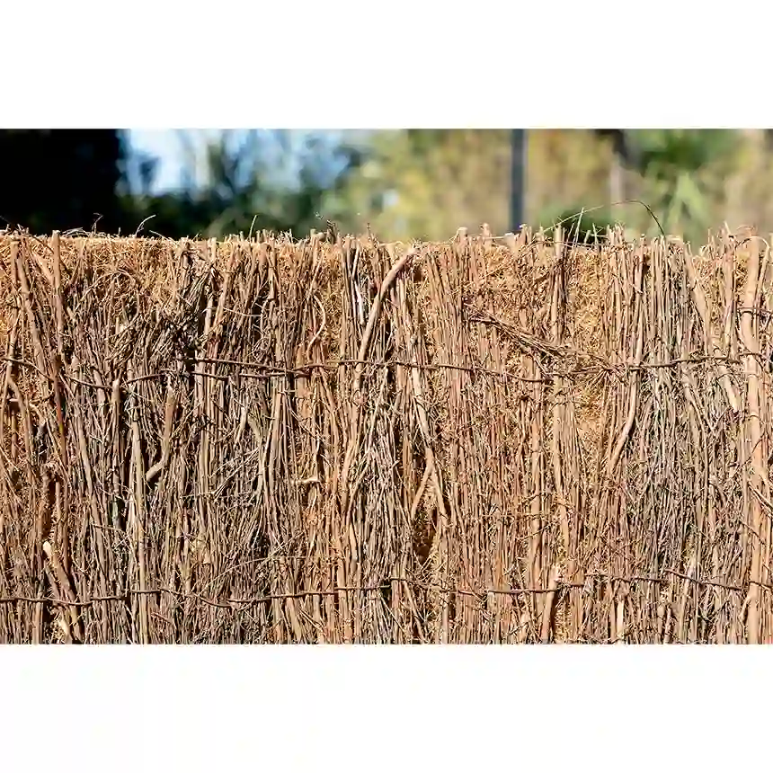 Brezo Tricapa Triobruc 2 x 3 m 3 Brezo tricoco Bruc Coco Catral Garden
