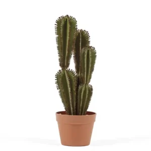 Cactus Artificial Euphorbia S 57,5 cm