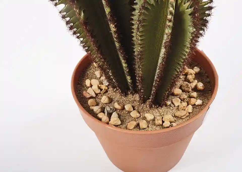 Cactus Artificial Euphorbia Suzannae 57,5 cm 4 Cactus Artificial Euphorbia S 57,5 cm Catral Garden