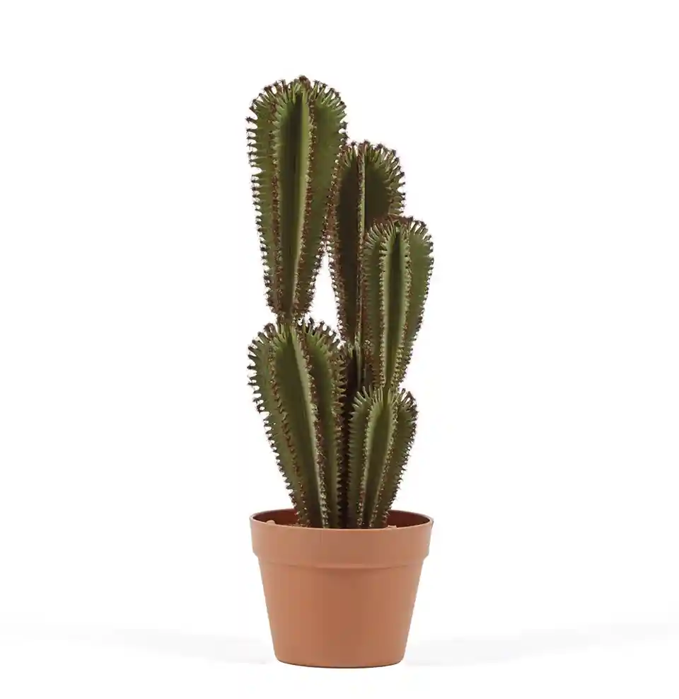 Cactus Artificial Euphorbia Suzannae 57,5 cm 1 Cactus Artificial Euphorbia S 57,5 cm