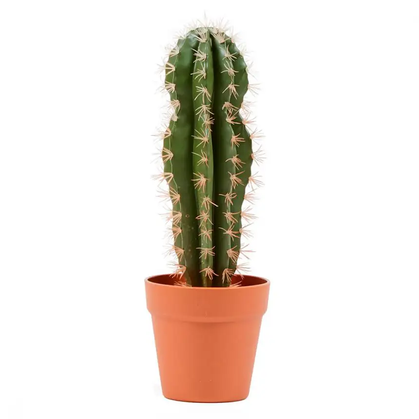 Cactus Artificial Stetsonia Coryne 64 cm 1 Cactus Stetsonya 64cm 860x860