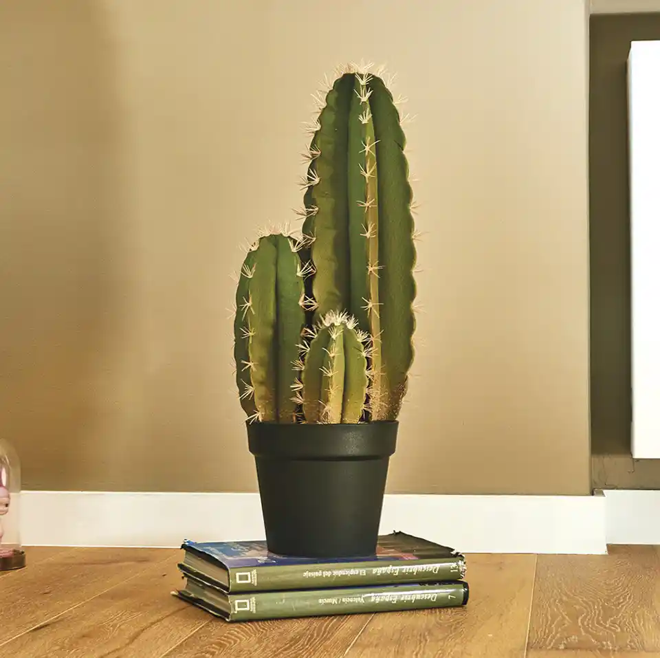 Cactus Artificial Organo 64 cm 3 Cactus artificial Organo 64 cm Nortene