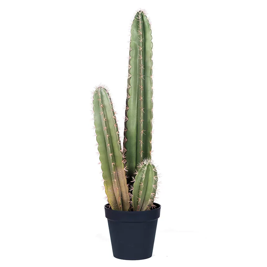 Cactus Artificial Organo 120 cm 1 Cactus artificial organo 120 cm 860x860