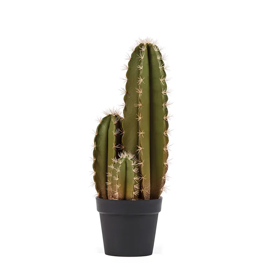 Cactus Artificial Organo 64 cm 1 Cactus artificial organo 64 cm 860x860