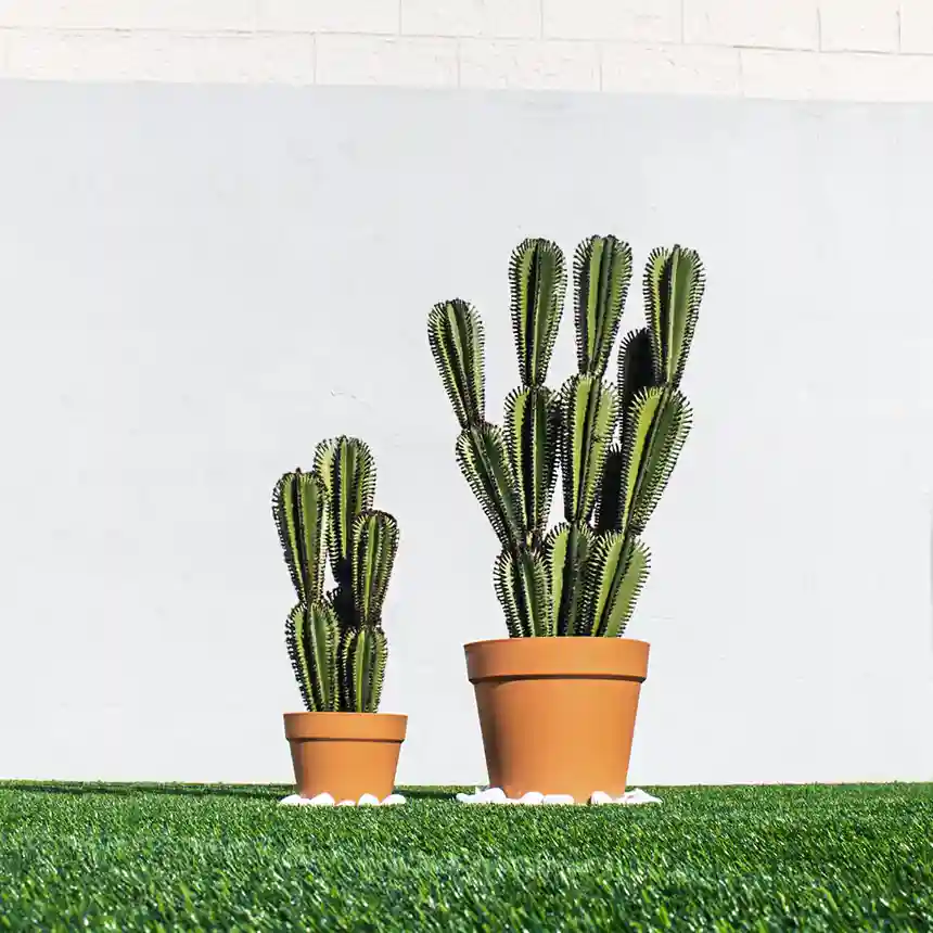 Cactus Artificial Euphorbia Suzannae 90 cm 1 Cactus euphorbia suzannae 90cm 004