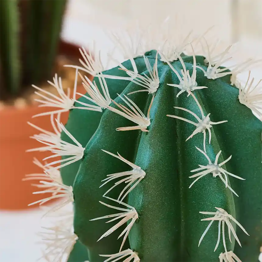 Cactus Artificial Stetsonia Coryne 43 cm 2 Cactus stetsonya 43 cm