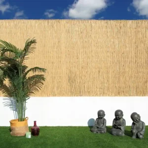 Cañizo natural Reed Multi