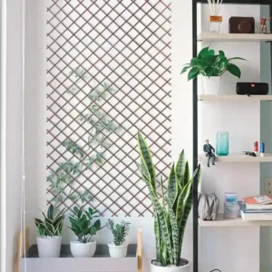 Celosia de madera trellibambu 860x860