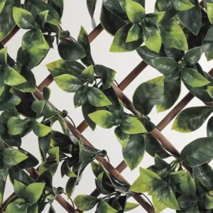 Celosía extensible trellibambú Buxus Nortene