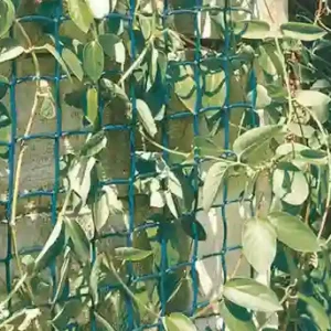 Climbanet verde Nortene