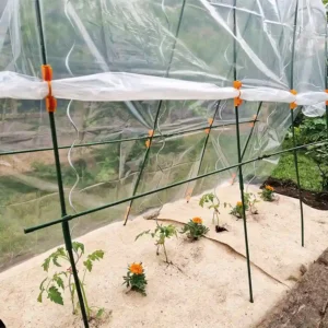 Clips tomato film
