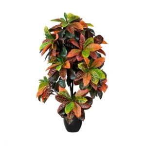 Croton 150 cm