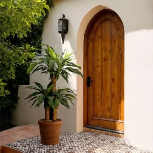 Dracena 145 cm 860x860