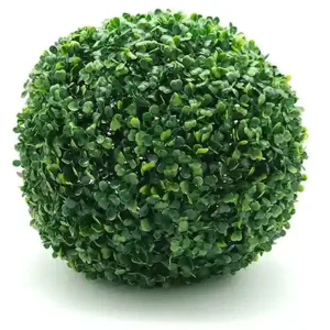 Esfera boj green Buxus imagen pequeña