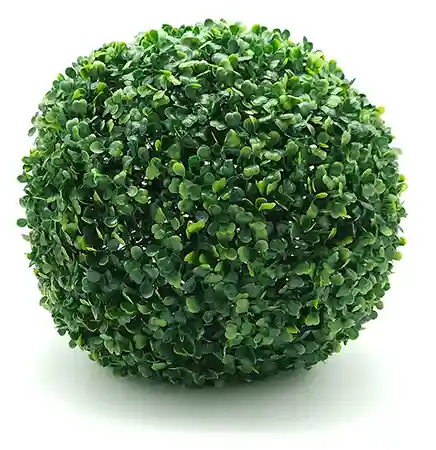 Esfera Green 28 cm 1 Esfera boj green Buxus imagen pequeña