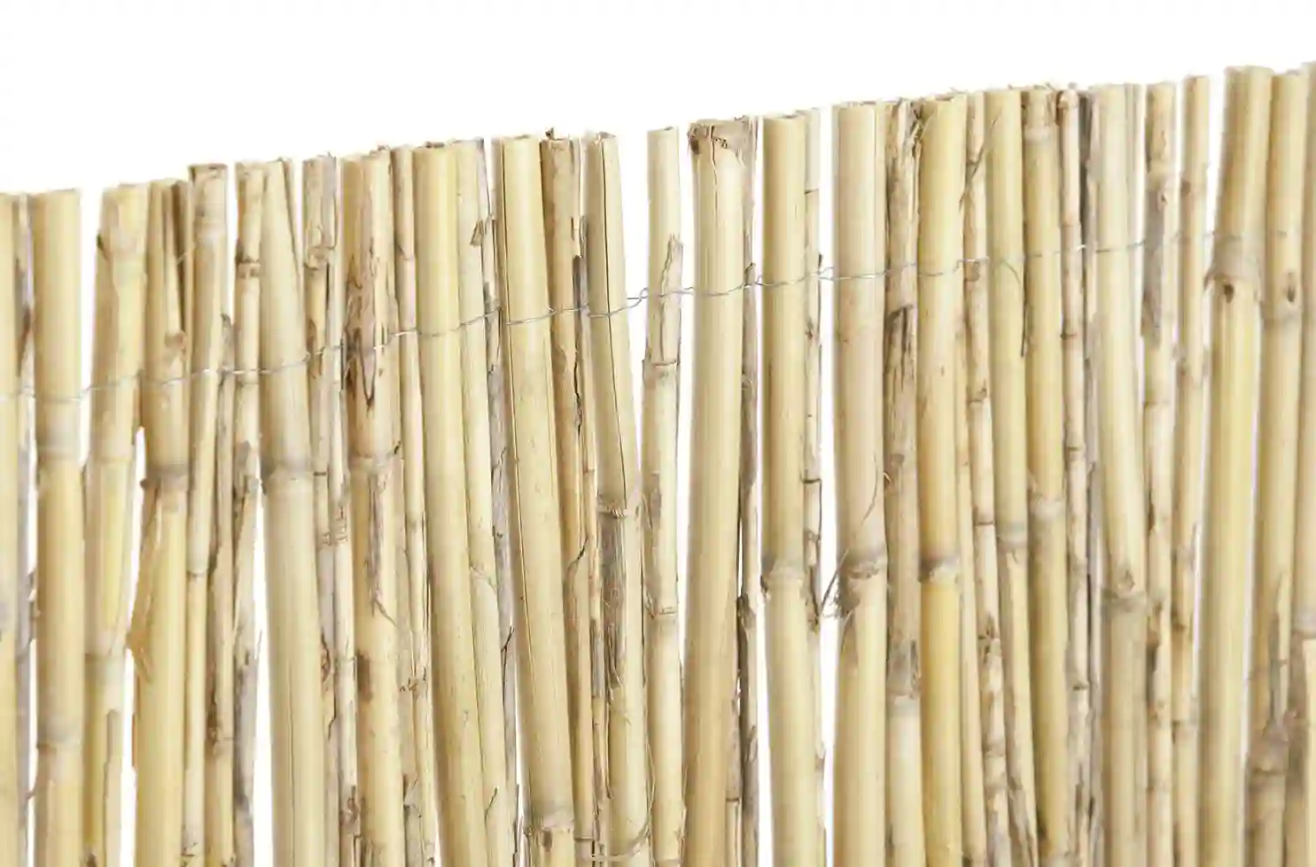 Cañizo Natural Caña Entera Excelcane 1×5 mt Nortene 4 Excelcane cañizo