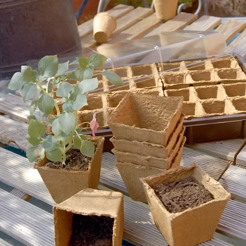 Maceta Compostable Growing Pot 6x6 cm 1 Growing pots 6x6 cm