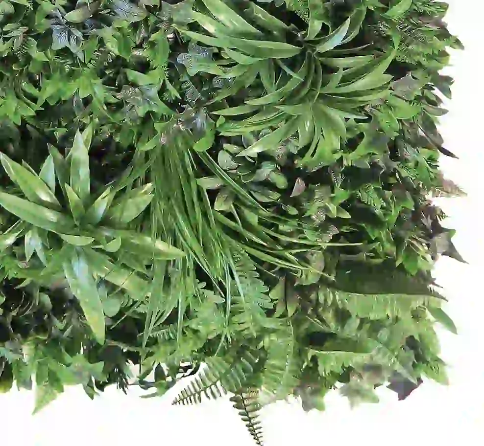 Jardin Vertical Tropic 100 x 100 cm 4 Jardin Vertical Tropic