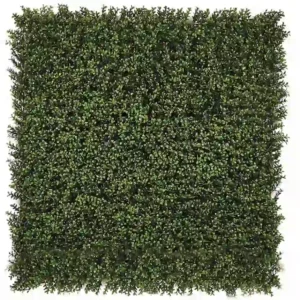Jardin Vertical Boj 100 x 100 cm
