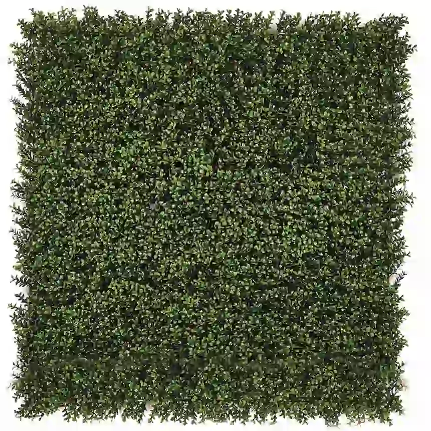 Jardin Vertical Boj 100 x 100 cm 1 Jardin Vertical Boj 100 x 100 cm
