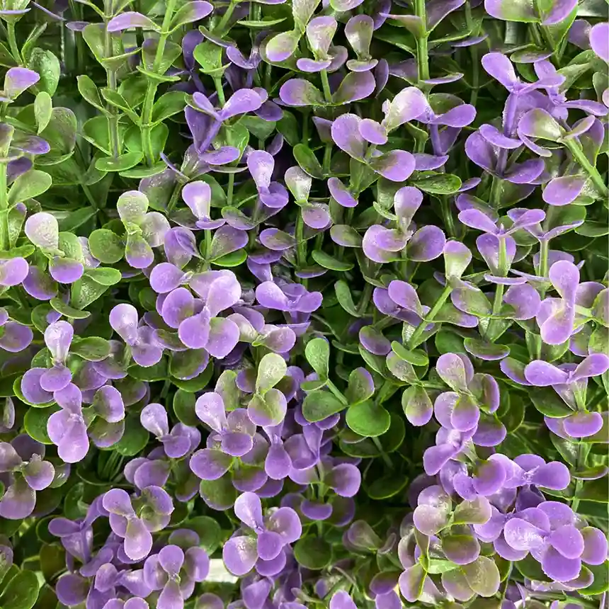 Jardin Vertical Lavanda 100 x 100 cm 4 Jardin vertical Lavanda 002