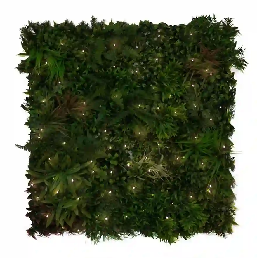 Jardin Vertical Sauvage Led 100 x 100 cm 4 Jardin vertical sauvage led catral garden