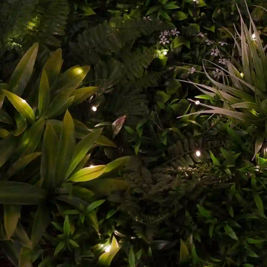 Jardin Vertical Sauvage Led 100 x 100 cm 3 Jardín vertical vertical sauvage led Nortene