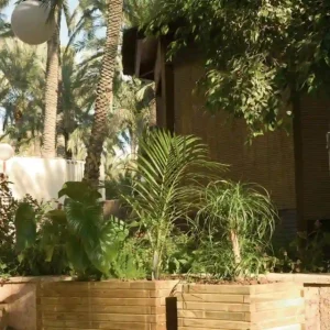 Jardinera de madera Venus
