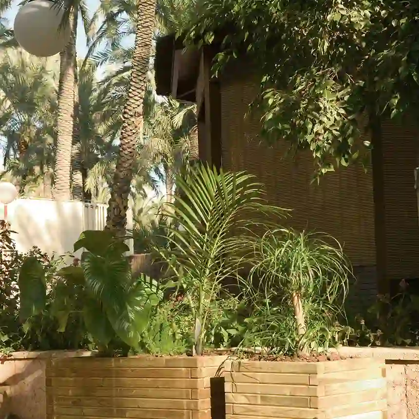 Jardinera de madera Venus
