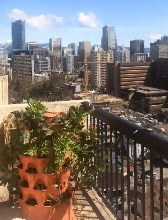 Jardines verticales en terrazas