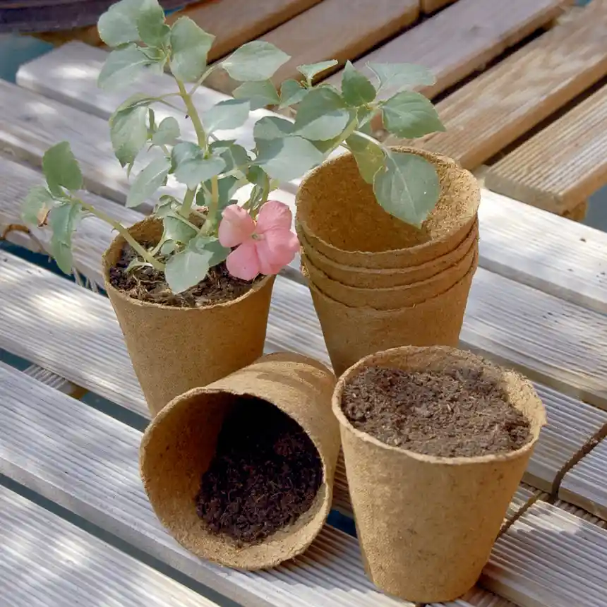 Maceta Compostable Growing Pot ø 6 cm 1 Maceta Compostable growing pots 6 cm