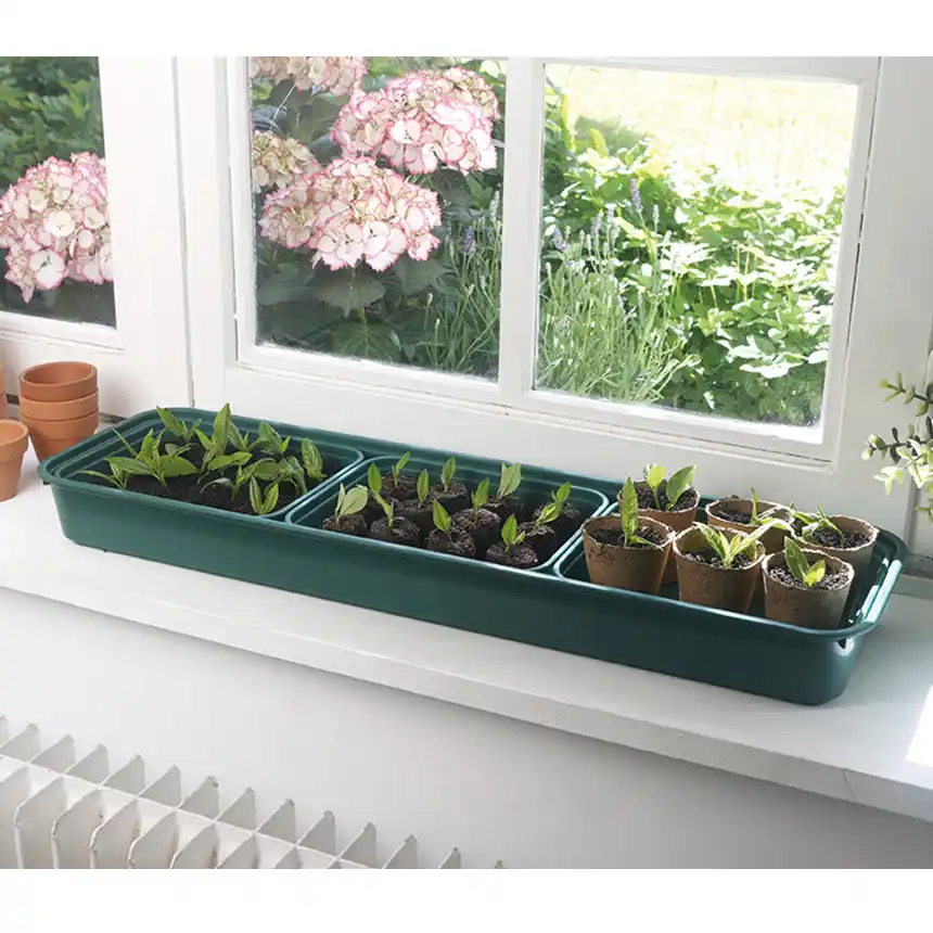 Mini invernadero para semillas Grow Window Pack 3 uds 2 Mini invernadero Rapid Grow window Nortene