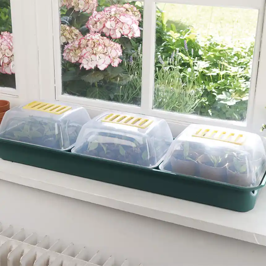 Mini invernadero para semillas Grow Window Pack 3 uds 1 Mini invernadero Rapid Grow window