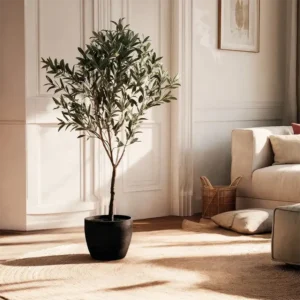 Olivo 150 cm 860x860