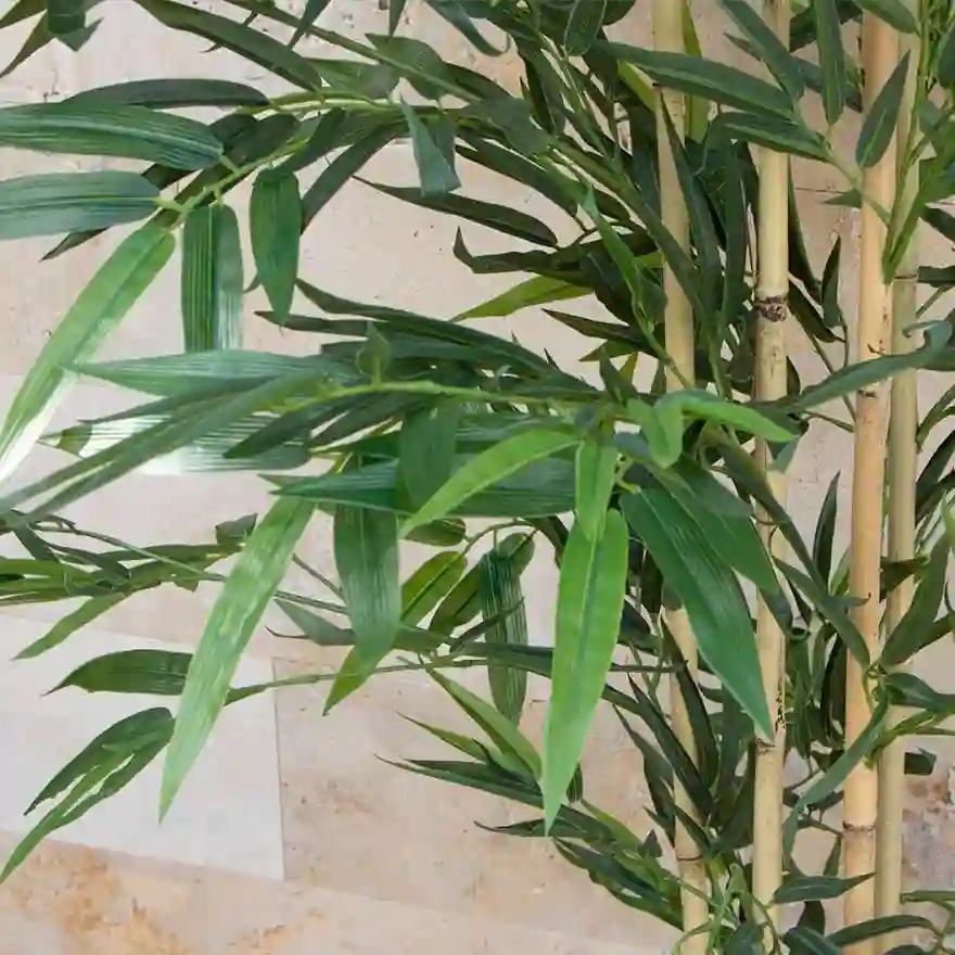 Planta Artificial Bambú 180 cm 2 Planta Artificial Bambú 180 cm Nortene
