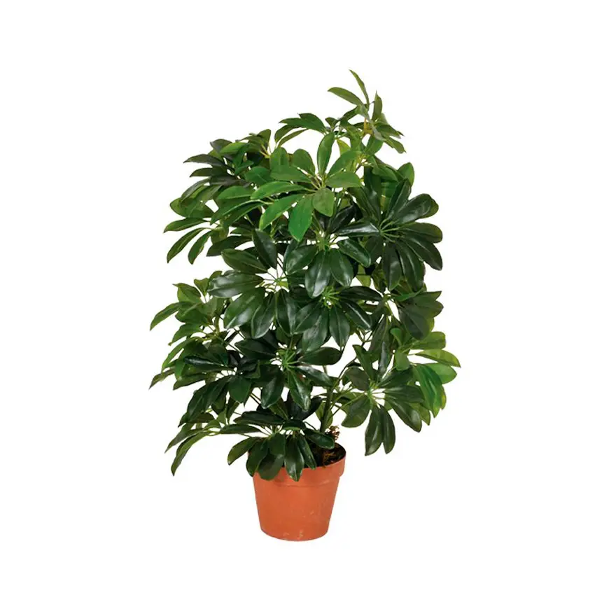 Planta Artificial Cheflera 65 cm 1 Planta artificial Cheflera 65 cm