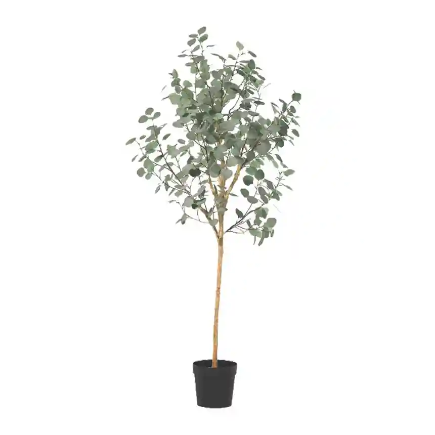Planta artificial eucaliptus 180 cm 2 Planta artificial Eucalyptus 002