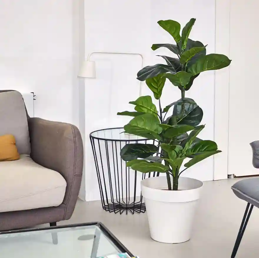 Planta Artificial Ficus Lyrata 120 cm 2 Planta artificial Ficus Lyrata 120 cm Nortene