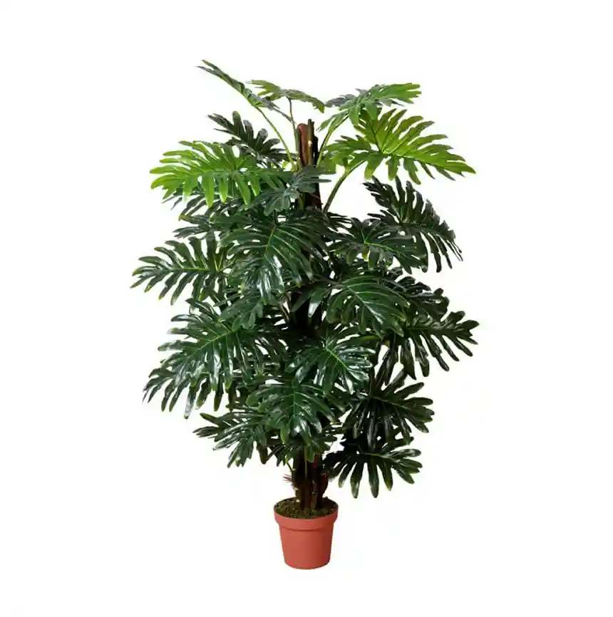Planta artifical Filodendro 150 cm 2 Planta artificial Filodendro 150 cm