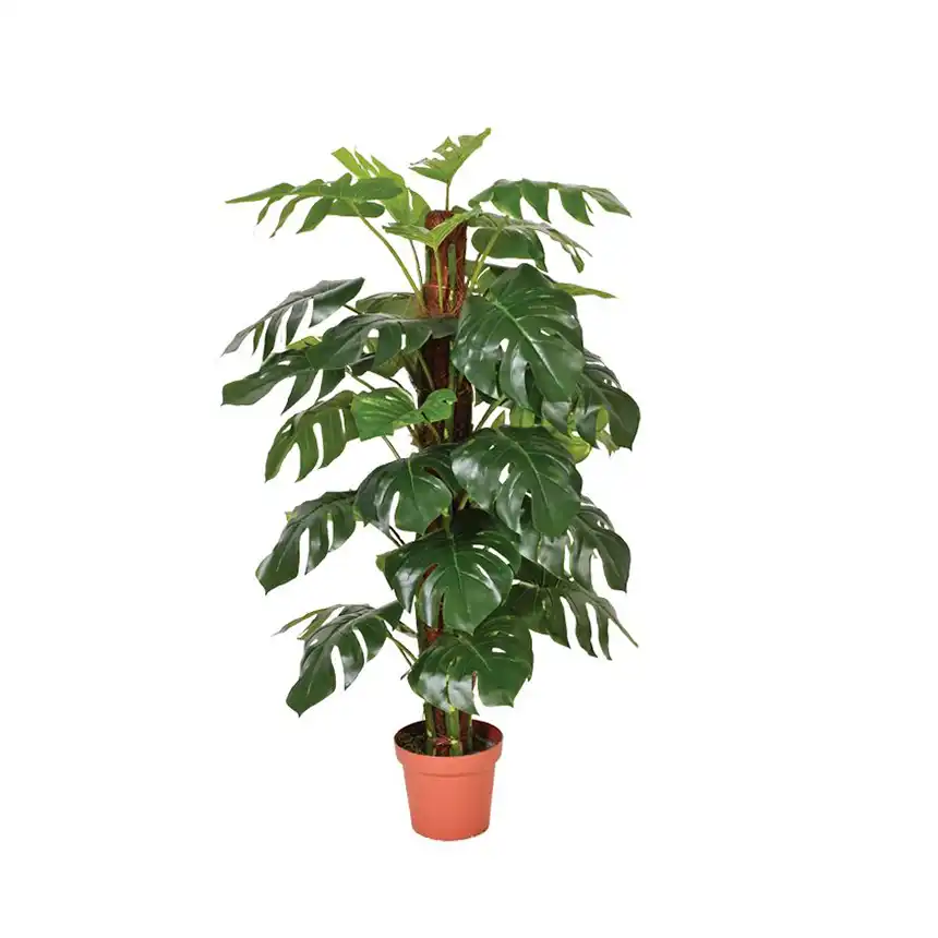 Planta Artificial Monstera 135 cm 2 Planta artificial Monstera 135 cm