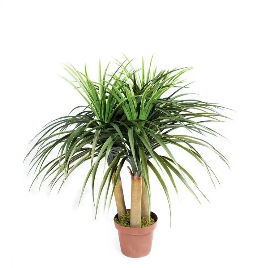 Planta Artificial Nolina Mini 75 cm 1 Planta artificial Nolina Mini 75 cm